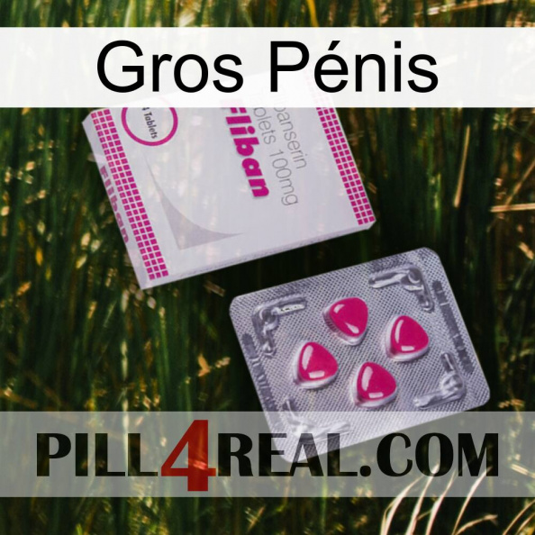 Gros Pénis 32